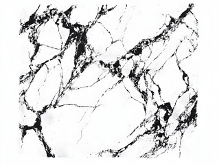 Abstract black and white marble texture with intricate vein patterns.