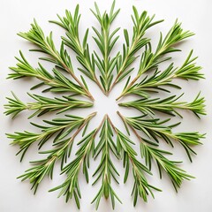 Obraz premium abstract green leaf