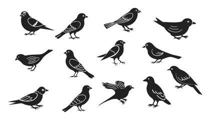 Fototapeta premium Set of black bird silhouettes. Vector illustration. Isolated on white background.