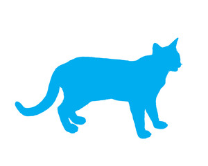 Cat blue silhouette vector illustration on white