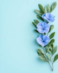 Blue flowers with green leaves on a light blue background, isolated composition.