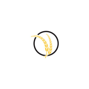 Agriculture wheat Logo