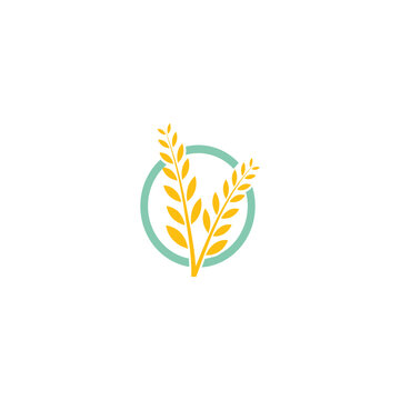 Agriculture wheat Logo