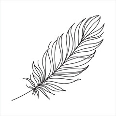 Obraz premium Feather silhouette on white background 
