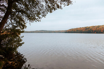 autumn landscape with a lake, forest and trees on the shore. Autumn landscape with a lake, forest and trees on the shore.