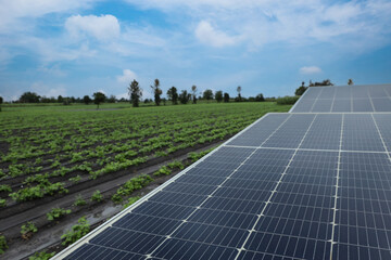 solar panels in agriculture farm land. Solar panels for irrigation systems in farm fields in...