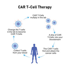 CAR T-cell Therapy Scientific Design. Vector Illustration.
