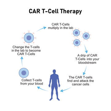 CAR T-cell Therapy Scientific Design. Vector Illustration.
