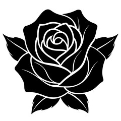 black rose