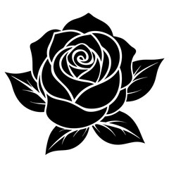 Rose vector