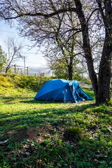 Sunny Morning at the Tent Campsite