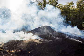 Traditional Way of Charcoal Production in a Forest of Black Sea Mountains, Turkey