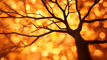 Silhouette of a tree with branches against a background of golden bokeh lights.