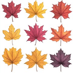 Autumn Maple Leaves - Orange Fall Leaf Design Elements for Thanksgiving or Halloween with Seasonal Clip Art & Illustrations