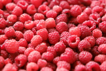 Sweet raspberry background. Full frame of fresh raspberries. Red ripe berry photo wallpaper closeup. Juicy berries. Vegetarian, vegan raw food. Organic bio product. From farm to table. Fruit pattern