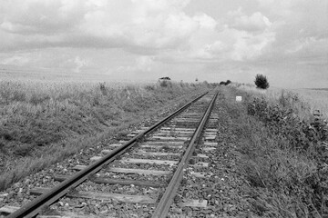 railway track near Petipsy in Czechia on 23. July 2024 on black and white film - blurriness and noise of scanned 35mm film were intentionally left in image