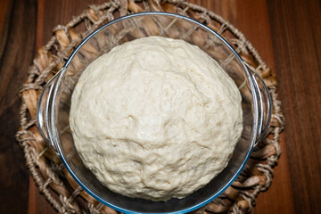 Kneaded and fermented dough in a bowl.