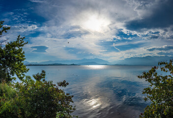 Early morning on the shores of the Upper Zurich Lake along the Seedamm, Hurden, Freienbach, Schwyz, Switzerland