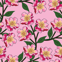 abstract a solid multicolor small and big flower mixed vector pattern arrangement with medium color, all over vector design with white background illustration digital