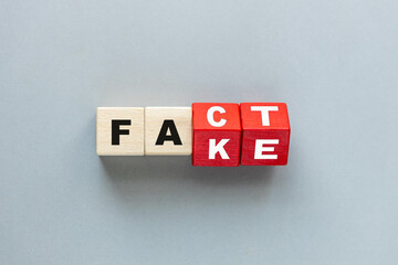 Fact and Fake. The rotating dice change the word fact to fake. Flat lay, copy space. Grey background