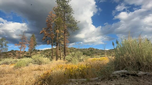 Time Lapse of Clouds over Los Padres National Forest, Ventura County, California