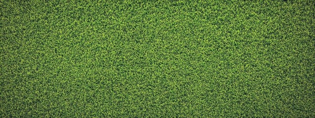 Aerial view, lush green grass texture, golf course fairway, perfectly manicured lawn, vibrant verdant carpet, sports field, natural background, groundskeeping perfection, seamless turf pattern, top-do