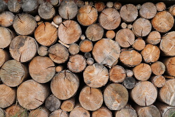 different round wooden disks as a background on a board