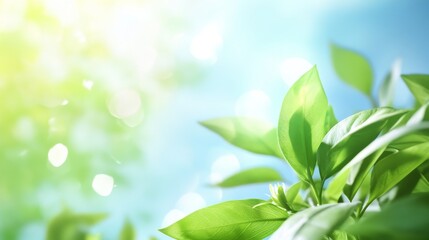 Fresh green leaves basking in sunlight against a soft blue background, representing nature and renewal.
