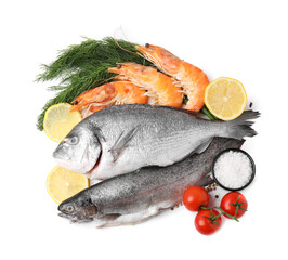 Different fresh sea food with spices and tomatoes isolated on white, top view