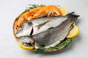 Different fresh sea food with spices in bowl on light grey table, closeup
