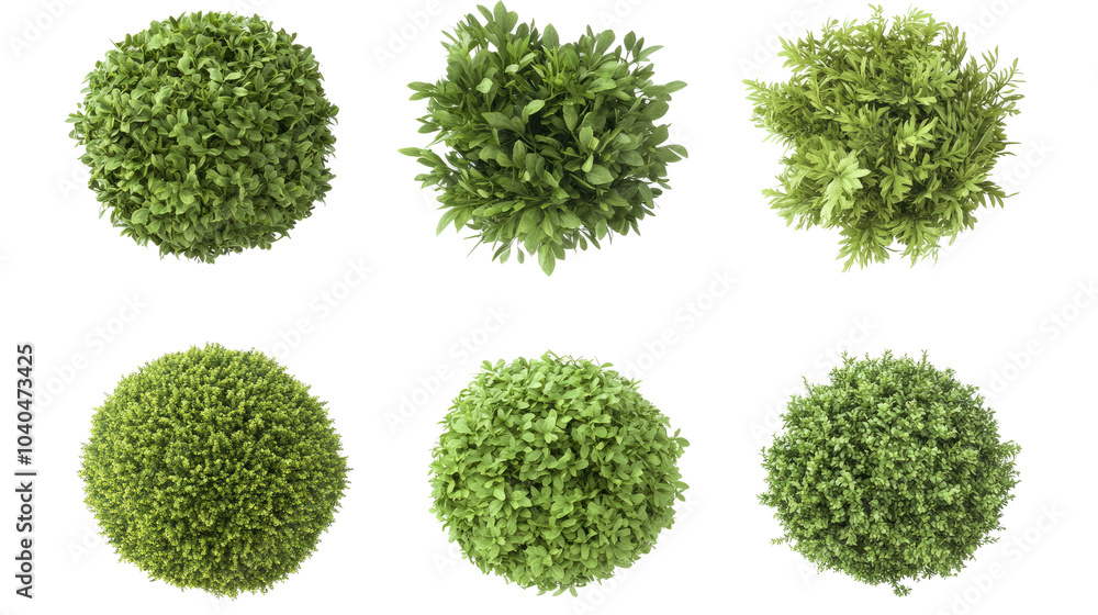 Poster lush garden bushes collection isolated on a transparent background generative ai