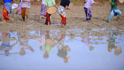 Obraz premium Human doing activities around the paddy field