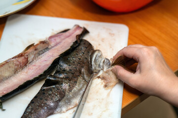 sharp knife delicately slices through a fish's fin, illustrating the art of culinary preparation. This moment captures the intersection of nature and gastronomic creativity, honoring tradition