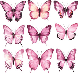 vector set of pink butterflies