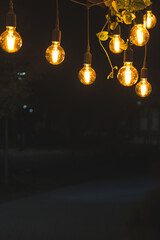 stylish light bulbs in the cafe
