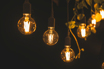 stylish light bulbs in the cafe
