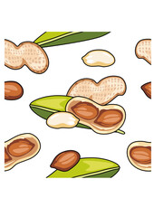 Peanuts isolated on white background. Seamless pattern