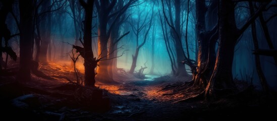 A mystical forest path shrouded in fog, with warm light filtering through the trees.