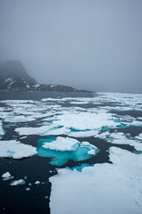 Icy Waters of Svalbard