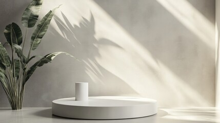 Minimalist interior design with natural light and plant elements a study in modern aesthetics