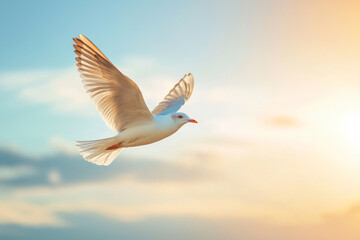 Fototapeta premium Bird flying with blue sky.