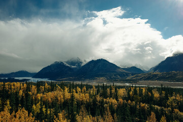 Obraz premium Aerial view of colorful fall trees and conifers at Denali national park in Alaska.