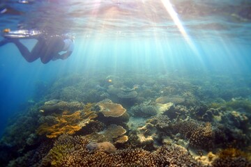 Sun rays in reef
