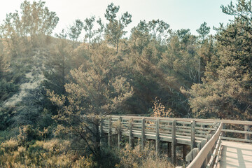 Fototapeta premium Boardwalk at West Beach Trails