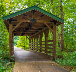 Covered Trail In wooded Area