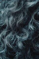 Black Sheep Hair Close Up