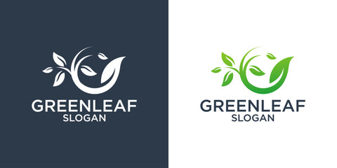 green leaf logo design vector