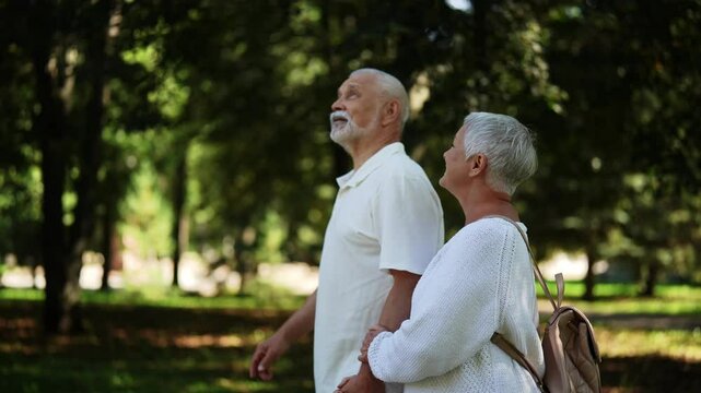 Side view of cheerful senior couple enjoying relaxing walk in green park, holding hands and basking in summer sun, embodying togetherness and healthy aging with joy and contentment, slow motion.
