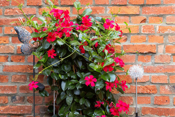 Obraz premium Blumen