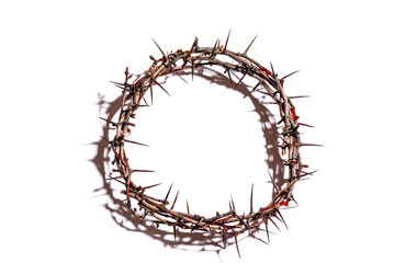 Fototapeta premium Crown of thorns